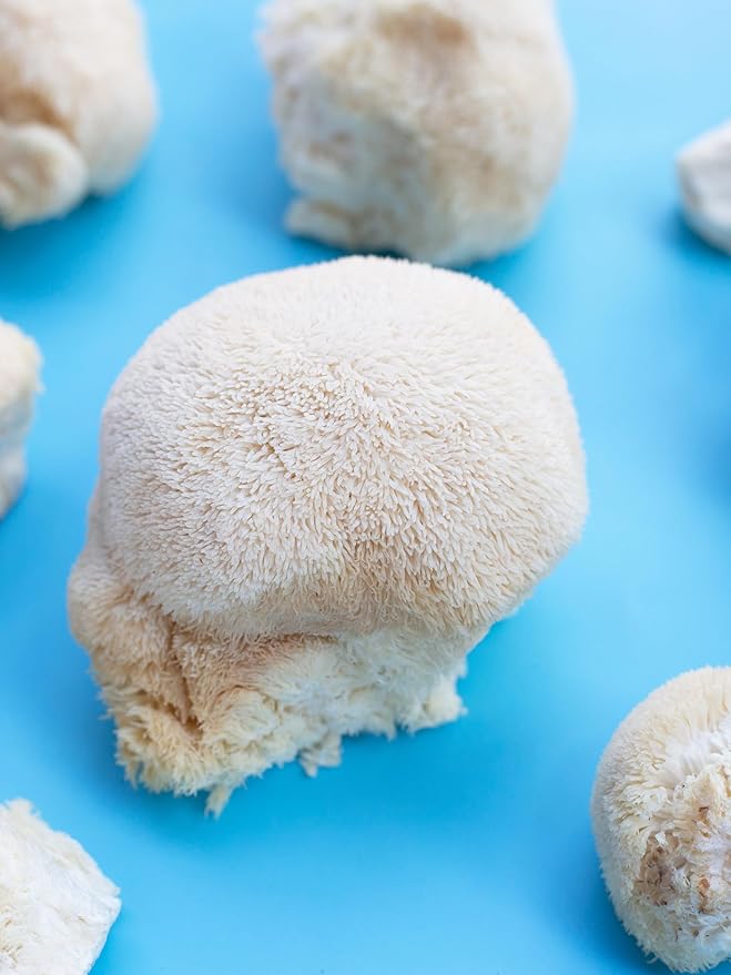 Freeze-Dried Lion's Mane Mushroom Fruiting Bodies | Can be rehydrated and cooked or used as supplement | Make into tincture, tea or powder | Grown in U.S.A | USDA Organic | in Vacuume Sealed Jar | 25 Year Shelf-Life