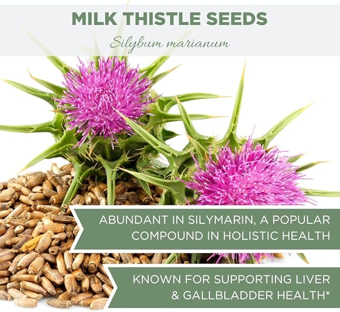 Organic Milk Thistle Seeds 4 oz. (113g), USDA Certified Organic Semillas de Mariano, Silybum marianum, Bulk Dried Natural Milk Thistle Seed, Whole