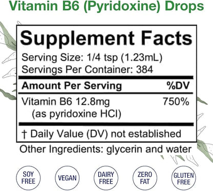 Vitamin B6 (Pyridoxine) Drops – Liquid Vitamin B Drops for Natural Brain Function Support, Blood Vessels & Immune Support – Liquid Vitamin Mood Supplement – Alcohol-Free Health Supplement (16 Fl Oz)
