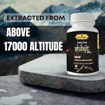 Pure Organic Himalayan Shilajit Capsules for Men & Women (60 Capsules Pack of 1)