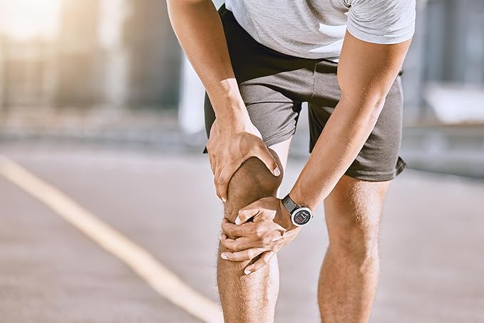 Pure Original Ingredients Cissus Quadrangularis (365 Capsules) No Magnesium Or Rice Fillers, Always Pure, Lab Verified