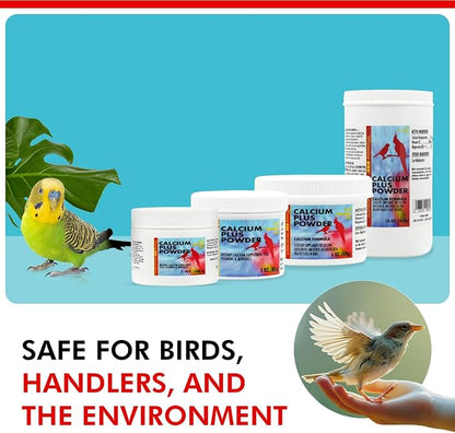 Morning Bird Calcium Plus Powder for Birds 1 oz – Calcium Supplement with Vitamin & Protein Powder – Supports Bone Health, Muscle Function & Digestive Balance – Easy-to-Mix Calcium Formula