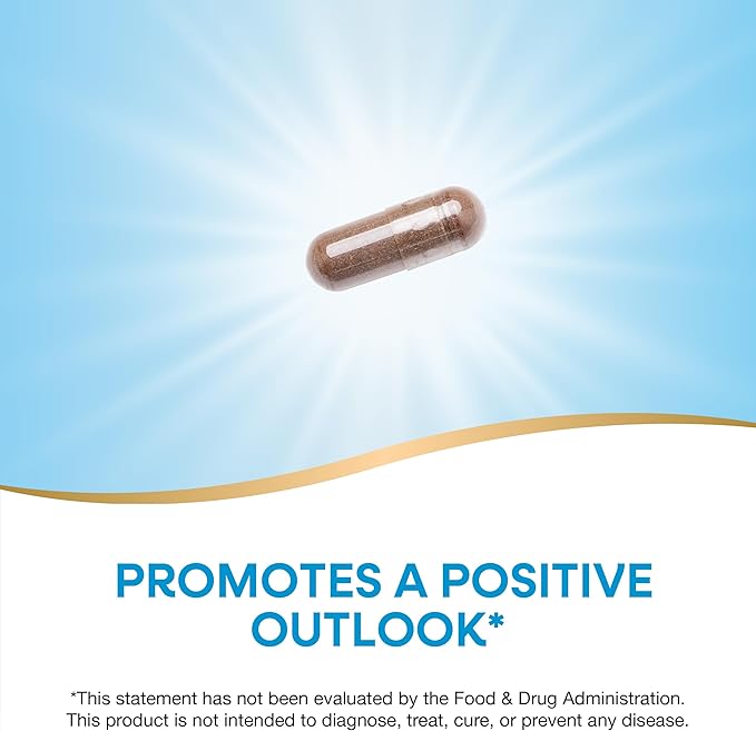 Nature’s Way St. John’s Wort Premium Extract – Promotes a Positive Outlook* - With Rosemary Leaf & Spirulina - Non-GMO Project Verified & Vegan - 90 Capsules