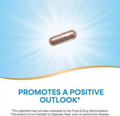 Nature’s Way St. John’s Wort Premium Extract – Promotes a Positive Outlook* - With Rosemary Leaf & Spirulina - Non-GMO Project Verified & Vegan - 90 Capsules