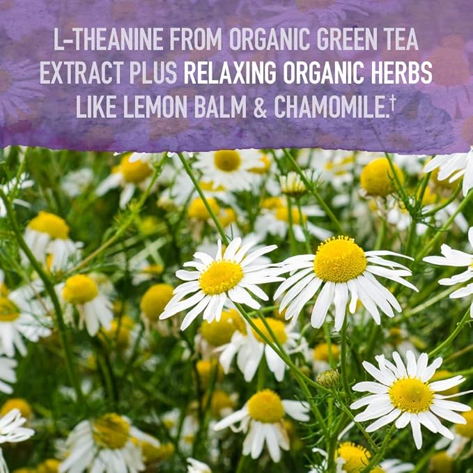 Garden of Life Organics Sleep Well Rest & Refresh 30 Tablets, Lemon Balm, Green Tea Extract L-Theanine, Valerian Root, Chamomile, Probiotics-Organic Non-GMO Vegan Gluten Free Herbal Supplement