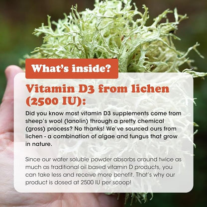 Fringe Vitamin D3 and K2 Mix Powder, Water Soluble Bio-Available, D3 from Algae, Vitamin K2 MK-7 from Natto, Vegan, Unflavored (30 Servings, Vitamin D & K Mix)