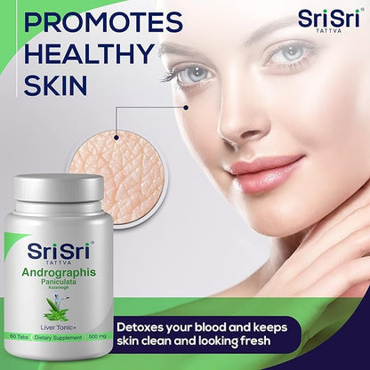 Andrographis Paniculata Supplements – 60 Tablets Plant based Herbals Andrographis Respiratory Wellness – Immune Strength Restorative Andrographis Tablets – 500 Mg Organic Green Chiretta Herb