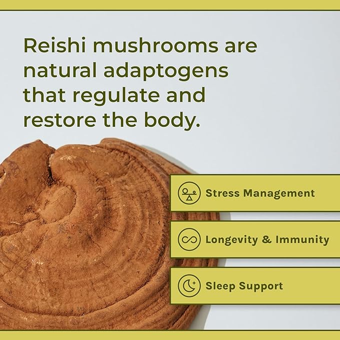 Naturealm Reishi Mushroom Supplement - Organic Reishi Mushroom Extract Capsules for Wellness & Cognitive Support - 90 Vegetarian Capsules with Red Reishi Mushrooms