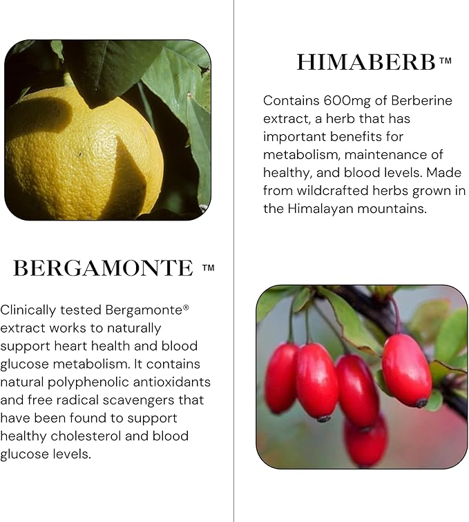 Berbercol | 500mg Citrus Bergamot (as Bergamonte) & Berberine | Naturally Supports Heart Health and More | 60 Capsules