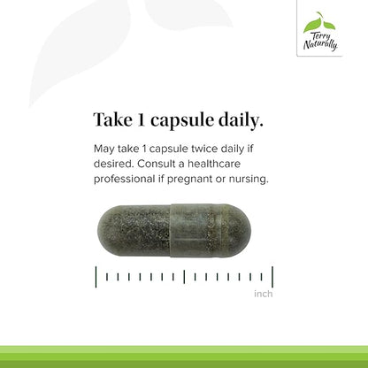 Terry Naturally Andrographis EP80 Extra Strength - Brain Health & Immune Support - Joint Health Support to Aid Mobility - Adaptogen Supplement for Energy & Liver Support - 60 Capsules (Pack of 2)