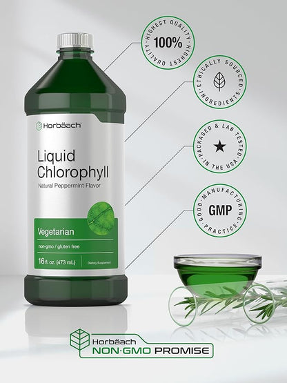 Horbäach Chlorophyll Liquid Drops | 100mg | 32 oz (2 x 16 oz Bottles) | Natural Peppermint Flavor | Vegetarian, Non-GMO, Gluten Free Supplement