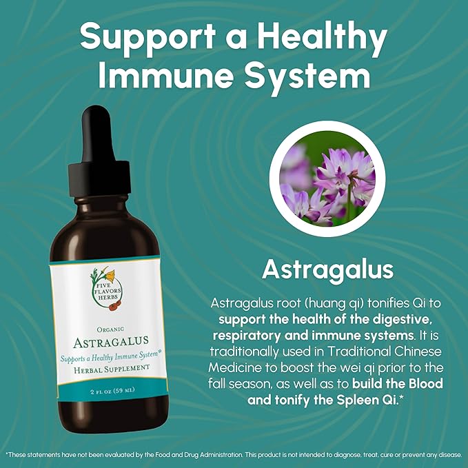 Astragalus Tincture - Immune System Support, Respiratory Support, Digestive System Support, Maca, Herbal Supplement - 2 Fl Oz
