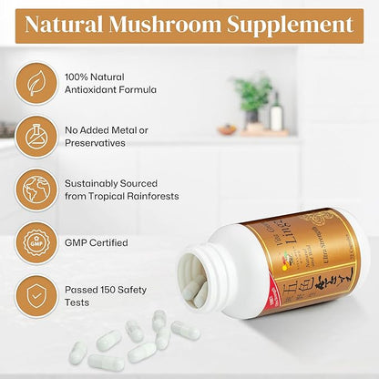 Vita Green Reishi Mushroom Capsules for Energy, Memory, and Immune Support – Pure Reishi Supplement with Natural Antioxidants for Daily Wellness and Energy – 72 Capsules