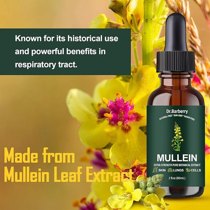 Mullein Drops for Lungs - Lung Detox for Respiratory System, Supports Overall Lung Health, Natural Echinacea Herbal Supplements, Non-GMO, Vegetarian (2 Fl Oz (Pack of 1))