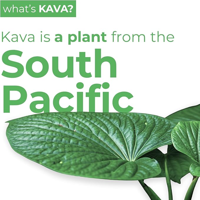 LEILO | Kava Powered Mocktail Drinks | Variety 12-Pack – Sugar-Free & Non-ALC Functional Relaxation Support – Includes 4 of Each: Margarita, Pina Colada, Moscow Mule | 12 fl oz Cans (Pack of 12)