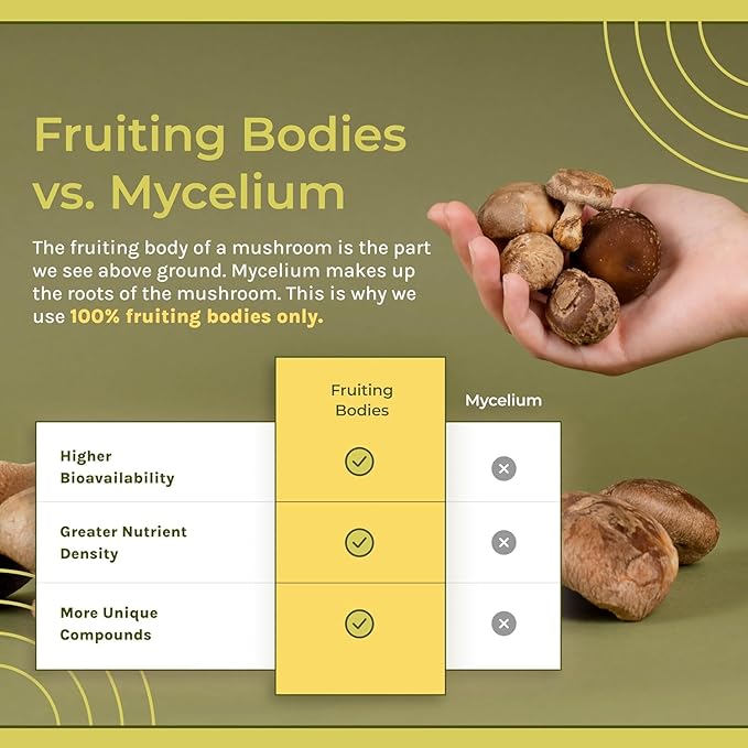 Naturealm Reishi Mushroom Supplement - Organic Reishi Mushroom Extract Capsules for Wellness & Cognitive Support - 90 Vegetarian Capsules with Red Reishi Mushrooms