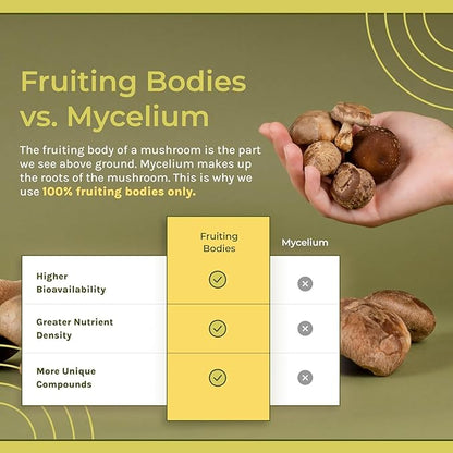 Naturealm Reishi Mushroom Supplement - Organic Reishi Mushroom Extract Capsules for Wellness & Cognitive Support - 90 Vegetarian Capsules with Red Reishi Mushrooms