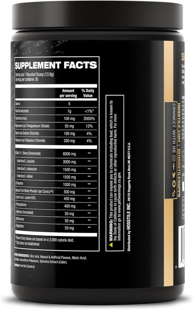 HOSSTILE SILO[9] Essential Amino Acids, EAA & BCAA Powder, Electrolyte Hydration Support, Enhance Muscle Recovery, Build Lean Muscle, Pre or Post Workout Drink, Blueberry Lemonade, 30 Servings