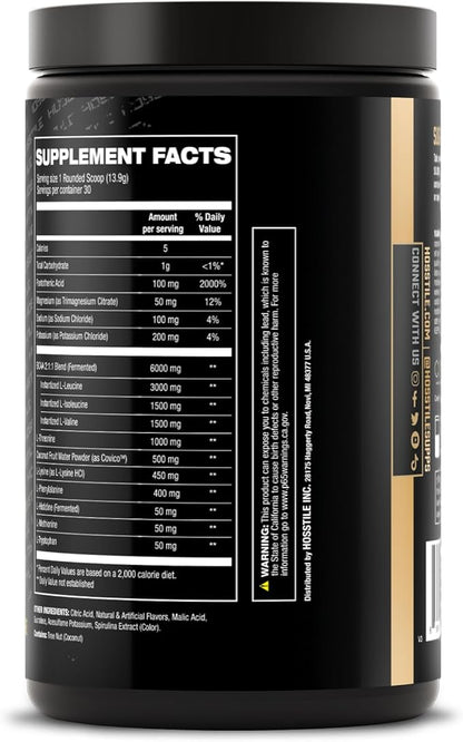 HOSSTILE SILO[9] Essential Amino Acids, EAA & BCAA Powder, Electrolyte Hydration Support, Enhance Muscle Recovery, Build Lean Muscle, Pre or Post Workout Drink, Blueberry Lemonade, 30 Servings