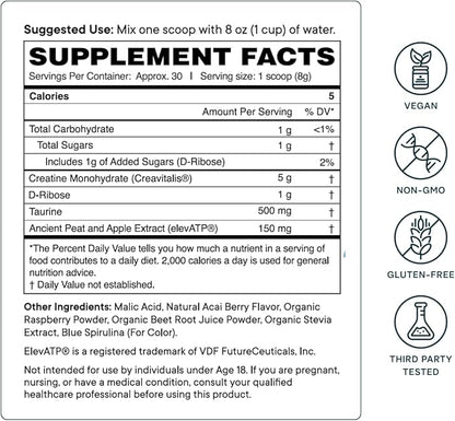 Ora Organic Creatine Monohydrate Powder - German-Sourced Creavitalis for Strength, elevATP for Energy, D-Ribose & Taurine for Recovery - Creatine for Women & Men - Acai Berry Flavor, 30 Servings