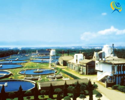 On Target Living Organic Chlorella Tablets | USDA Organic | 1000 Tablets | Immune System Boosting | Chlorophyll | Recovery | Athletic Performance | Premium Quality