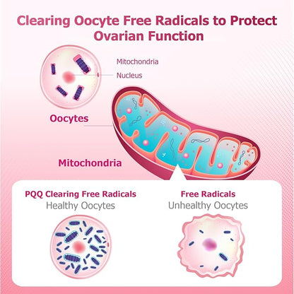 Inositol Ovarian Health Support 120 VegeCaps Supplements for Women,Myo-Inositol to D-Chiro-Inositol Dietary Supplement