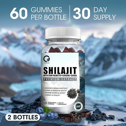 Himalayan Shilajit Gummies with 85+ Trace Minerals & Fulvic Acid for Energy, Immune, Cognitive Support High Potency Pure Natural Shilajit Supplement for Men & Women 60 Gummies (2 Packs)