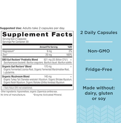 Ancient Nutrition Probiotics, SBO Probiotics Gut Restore 60 Ct, Promotes Gut Health, Digestive and Immune Support, Gluten Free, Ancient Superfoods Blend, 25 Billion CFUs* Per Serving