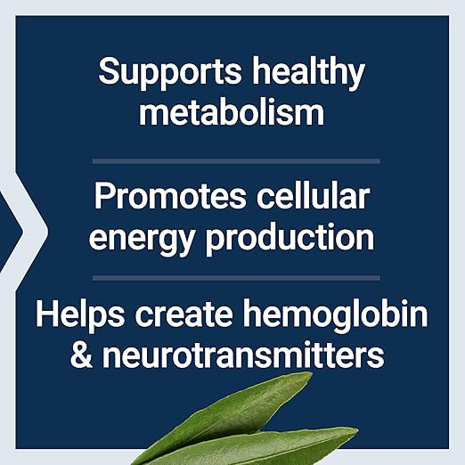 Life Extension Pantothenic Acid, 500 mg, Vitamin B5, Calcium, Support Healthy Metabolism, Mitochondrial Energy Production, Gluten-Free, Non-GMO, Vegetarian, 100 Capsules