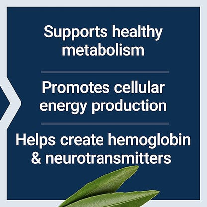 Life Extension Pantothenic Acid, 500 mg, Vitamin B5, Calcium, Support Healthy Metabolism, Mitochondrial Energy Production, Gluten-Free, Non-GMO, Vegetarian, 100 Capsules