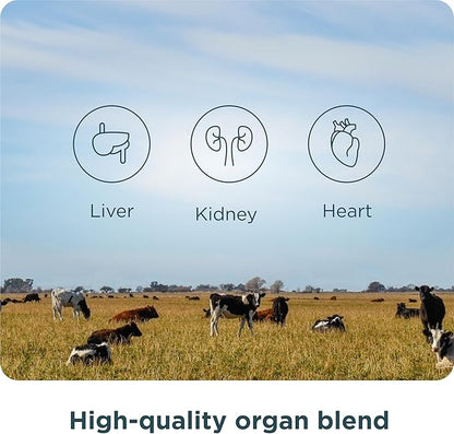 Ancient Nutrition Organ Supplements, Grass-Fed and Wild Organ Complex Capsules, Liver, Heart, Kidney Supports Organ, Cognitive, and Immune System Health, 180 Ct