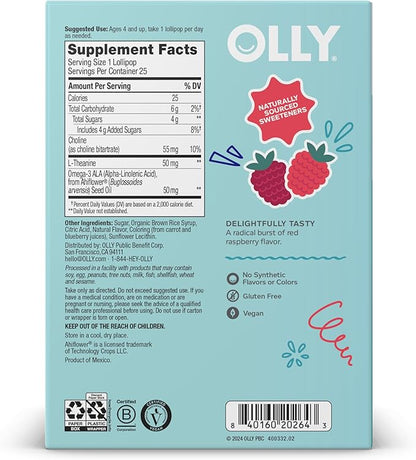 OLLY Mellow Buddies L’OLLY Pops, Omega-3 ALA, L-Theanine, Choline, Kids Dietary Supplement Lollipops, Supports a Calm Mood & Healthy Brain Function, Vegetarian, Raspberry Flavored, 25 Count