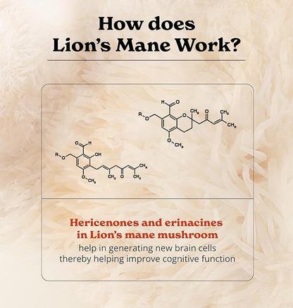 Lions Mane Mushroom Capsules | Nootropic Brain Booster | 15:1 Extract for Overall Health and Fitness | 30% Polysaccharides | Pack of 2