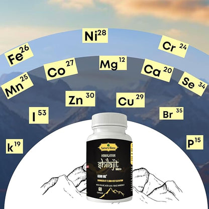 Pure Organic Himalayan Shilajit Capsules for Men & Women (60 Capsules Pack of 1)