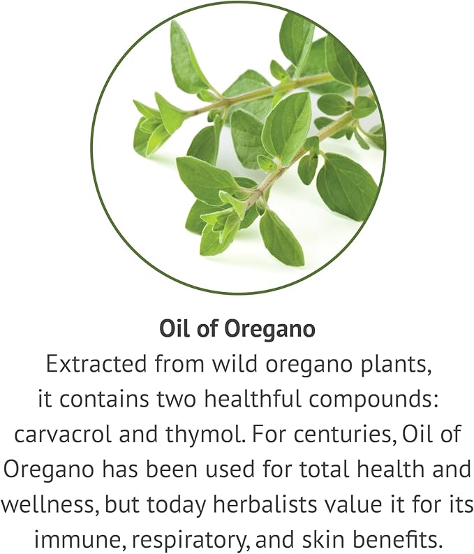 Botanic Choice Oil of Oregano Liquid Extract - Alcohol Free Herbal Supplement, Traditional Support for Immune and More - 1 Fl. Oz.