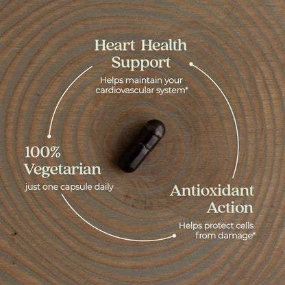 New Chapter Cinnamon Supplement - Cinnamon Force for Antioxidant Action + Non-GMO Ingredients - 30 ct Vegetarian Capsules