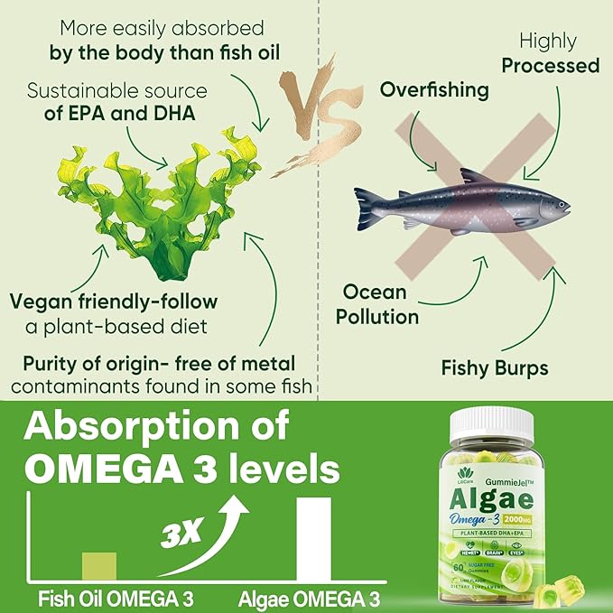 Sugar Free Omega 3 Fatty Acid 2000mg With 640mg DHA & 290mg EPA, Multivitamin, CoQ10, Astaxanthin + Ginger Filled Gummies for Nausea - Stomach Relief - Ultra Absorption for Digestive Support