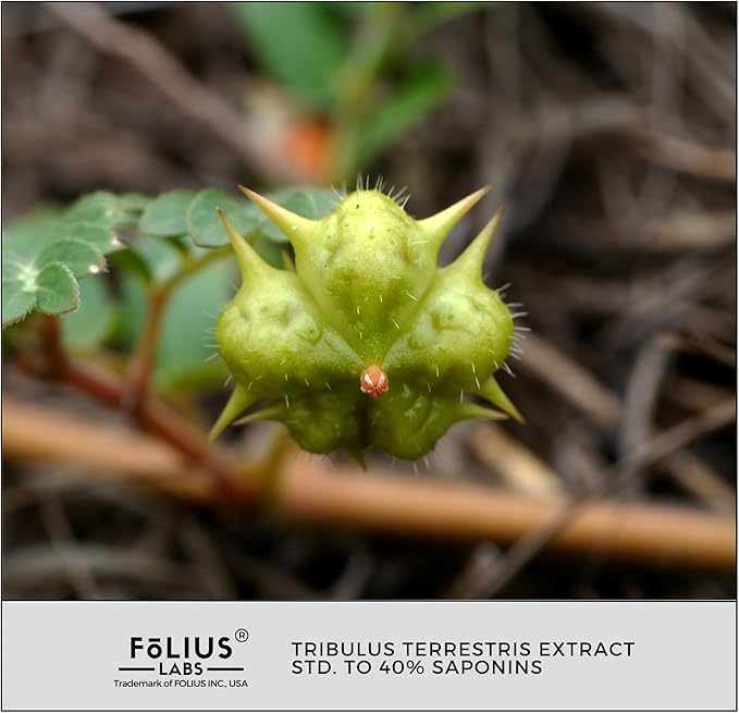 Tribulus Terrestris 750mg - Concentrated Natural Whole Plant Extract - 120 Capsules