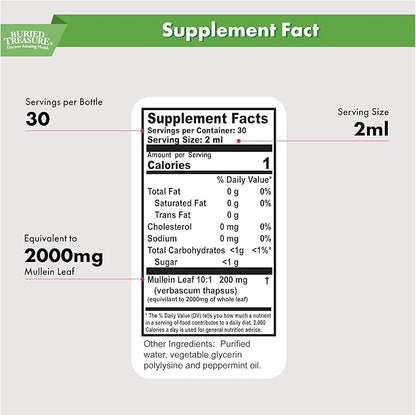 Buried Treasure Mullein Mint Drops: Instant Mullein Tea, Mullein Leaf Extract for Supporting Lungs, No Sugar, Easy-to-Use Drops for Seasonal Support