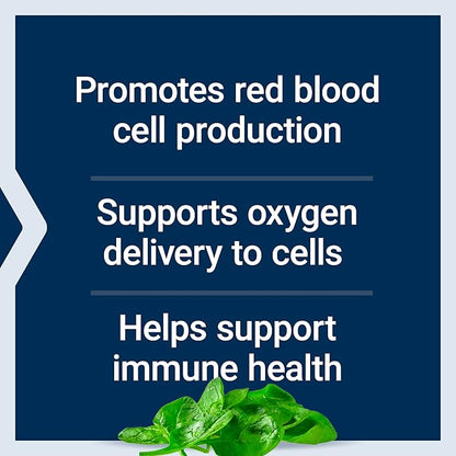 Life Extension Iron Protein Plus, Iron Protein succinylate, absorbable Iron Supplement for Whole-Body Health, Non-GMO, Gluten-Free, Vegetarian, 100 Capsules