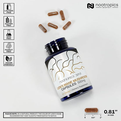 Nootropics Depot Lions Mane Mushroom Capsules | 8:1 Whole Fruiting Body Dual Extract | 500mg | 180 Count | Hericium erinaceus