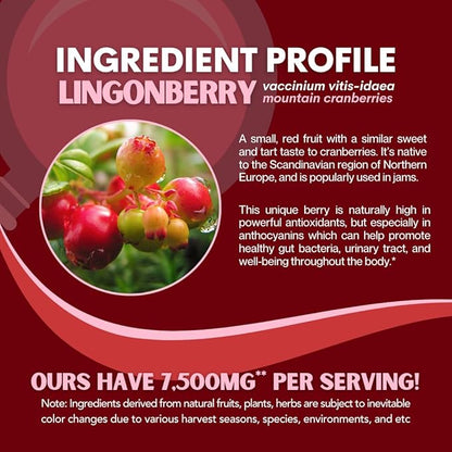 Lingonberry Powder 7500mg for Urinary Tract, Blood Circulation, Gut Health, Eye Health, Antioxidant Support - Pure 5:1 Ratio & 180 Veggie Capsules - Non-GMO, Gluten-Free, Vegan-Friendly Supplement