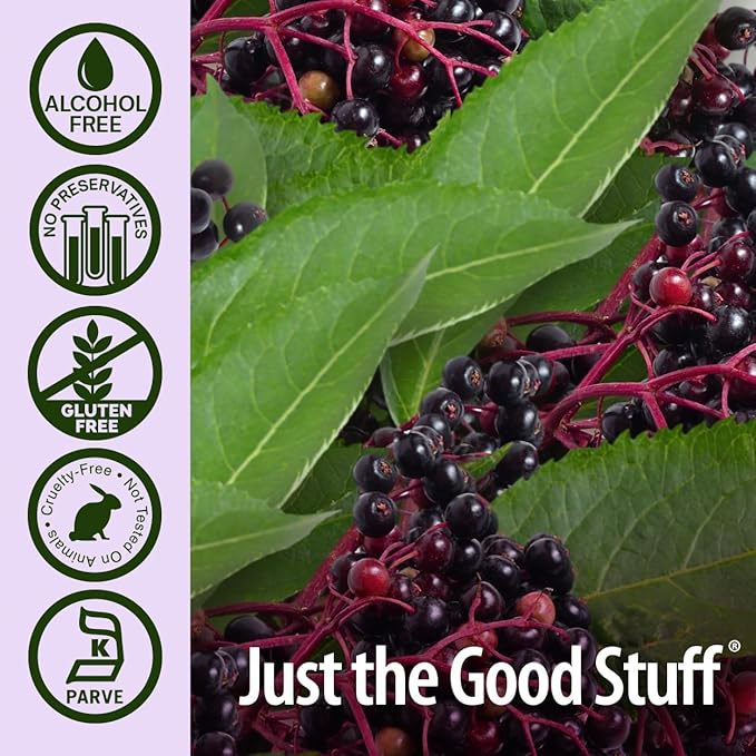 Nature's Answer Alcohol-Free Sambucus Extract Spray, 2-Ounces | Immune System Support | Vegan, Gluten-Free, No Artificial Flavors or Preservatives | Single Count