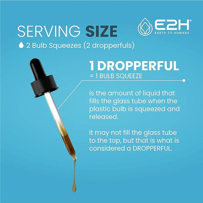 E2H Liver Support Supplement with Milk Thistle - Liver Health Formula - Artichoke Extract, Dandelion Root, Chanca Piedra, and More - Absorbent Liquid Formula (2 Bottles)