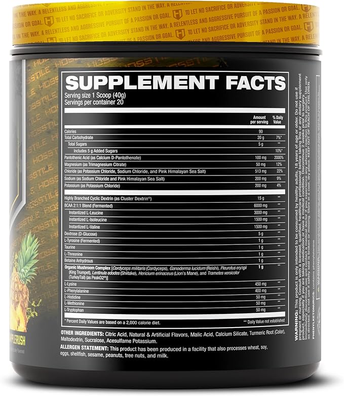 HOSSTILE Intra[R3] Intra Workout Powder, Intra Workout Carb, EAA & BCAA Drink, Enhance Energy & Endurance, Improve Muscle Recovery, Build Lean Muscle, Pineapple Rush, 20 Servings