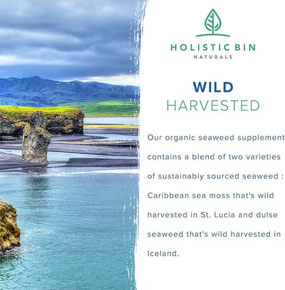 Holistic Bin Organic Sea Moss Capsules 100% Pure Caribbean Sea Moss + Dulse Seaweed | Wild Harvested | No Fillers | Rich in Antioxidants, Minerals, and Iodine (40 Capsules)