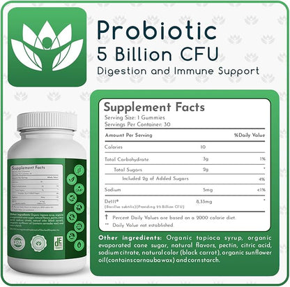 Organic Probiotic Gummies, 5 Billion CFU per Serving, 60 Count, Vegan, Supports Digestive Health and Immune Defense, for Women and Children; Strawberry Flavor