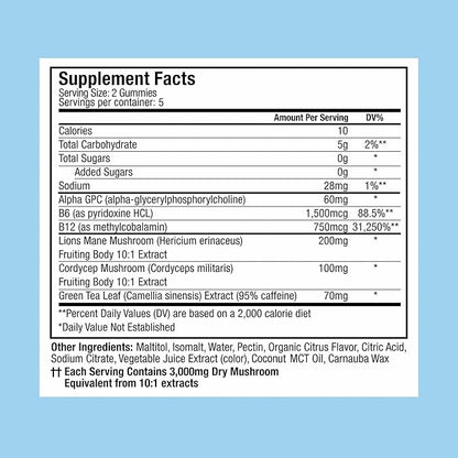 Plant People WonderFocus Mushroom Gummies Mini with Lion’s Mane & Cordyceps Nootropic Brain Supplement Boosts Memory Focus Energy & Mood in Adults No Sugar 100% Vegan Citrus Flavor Trial Size
