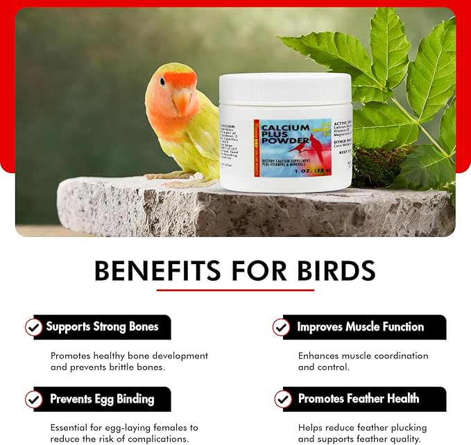 Morning Bird Calcium Plus Powder for Birds 1 oz – Calcium Supplement with Vitamin & Protein Powder – Supports Bone Health, Muscle Function & Digestive Balance – Easy-to-Mix Calcium Formula