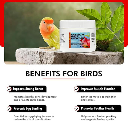Morning Bird Calcium Plus Powder for Birds 1 oz – Calcium Supplement with Vitamin & Protein Powder – Supports Bone Health, Muscle Function & Digestive Balance – Easy-to-Mix Calcium Formula